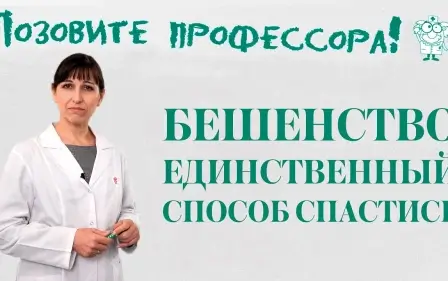 Бешенство. Единственный способ спастись