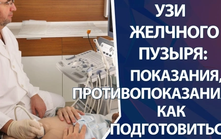 УЗИ желчного пузыря: как подготовиться, показания, противопоказания к УЗИ желчного пузыря