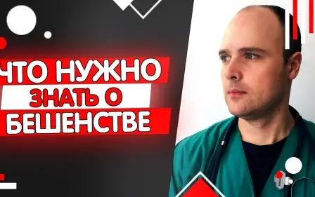 7 МИФОВ О БЕШЕНСТВЕ