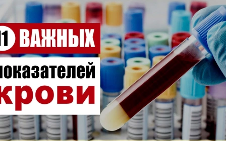 11 основных показателей в анализе крови, которые укажут на то, что вы нездоровы